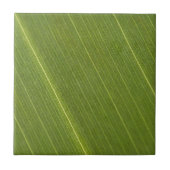 Palm Tree Leaf Fliese (Vorderseite)
