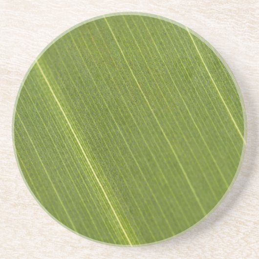 Palm Tree Leaf Getränkeuntersetzer (Vorne)