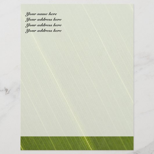Palm Tree Leaf Letterhead Design Briefbogen (Vorderseite)