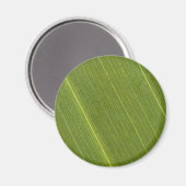 Palm Tree Leaf Magnet (Vorderseite/Rückseite)