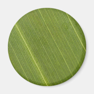 Palm Tree Leaf Magnet