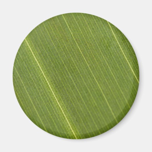 Palm Tree Leaf Magnet (Vorne)