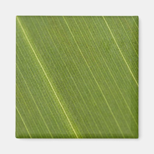 Palm Tree Leaf Magnet (Vorne)