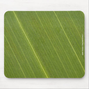 Palm Tree Leaf Mousepad