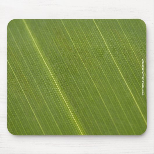 Palm Tree Leaf Mousepad (Vorne)