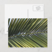 Palm Tree Leaf Postcard Postkarte (Vorne/Hinten)
