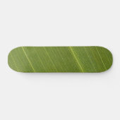 Palm Tree Leaf Skateboard (Horizontal)
