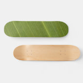 Palm Tree Leaf Skateboard (Horizontal)