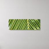 Palm Tree Leinwanddruck (Vorderseite)