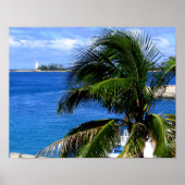 Palm Tree & Lighthouse Poster (Vorne)