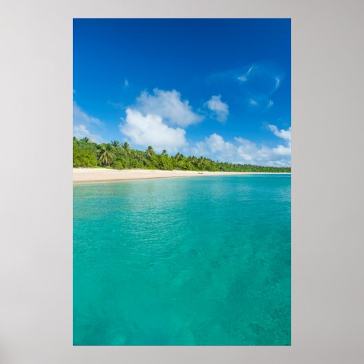 Palm tree lined beach, Tonga Poster (Vorne)