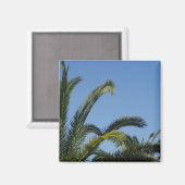Palm Tree Magnet (Vorderseite/Rückseite)