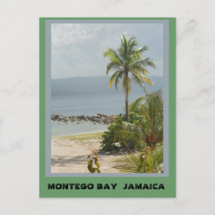 Palm Tree, Montego Bay Jamaica Juni 2011 Postkarte