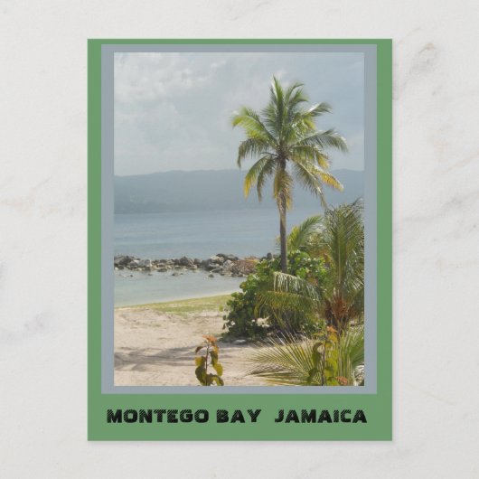 Palm Tree, Montego Bay Jamaica Postkarte (Vorderseite)