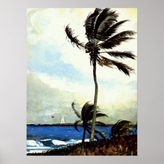 Palm Tree-Nassau Poster