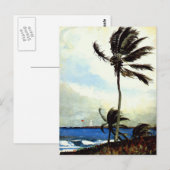 Palm Tree-Nassau Postkarte (Vorne/Hinten)