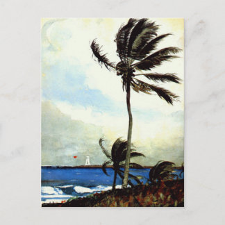 Palm Tree-Nassau Postkarte