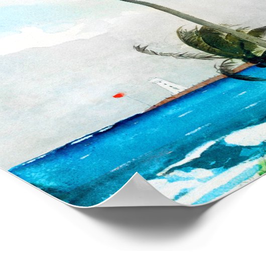 Palm Tree Nassau von Winslow Homer Poster (Ecke)
