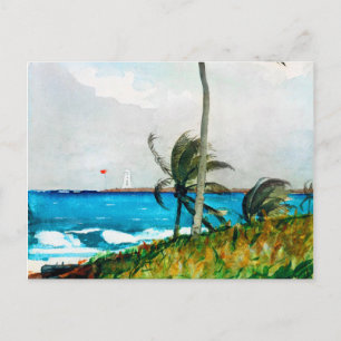 Palm Tree Nassau von Winslow Homer Postkarte