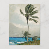 Palm Tree Nassau Winslow Homer Postkarte (Vorderseite)