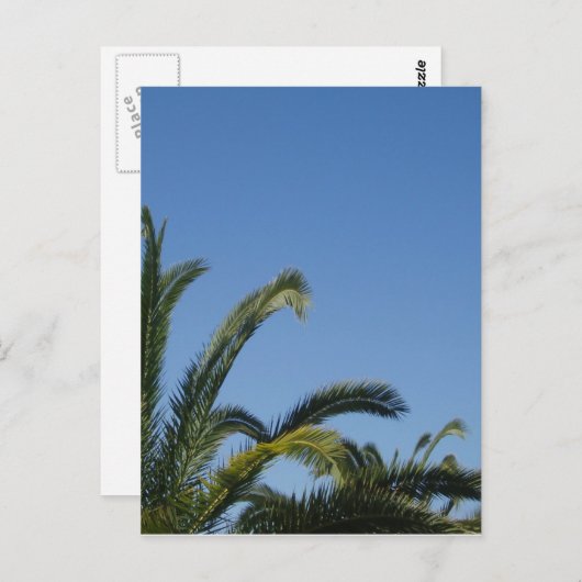 Palm Tree Postcard Postkarte (Vorne/Hinten)