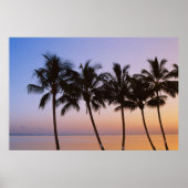 Palm tree poster (Vorne)
