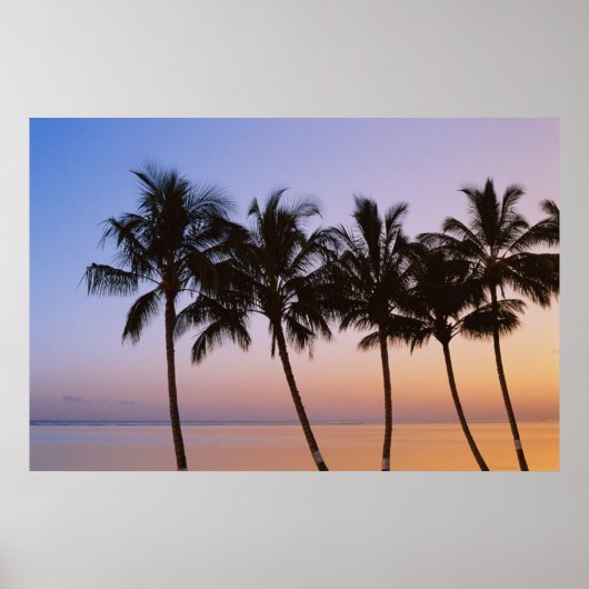 Palm tree poster (Vorne)
