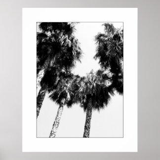 Palm Tree Poster
