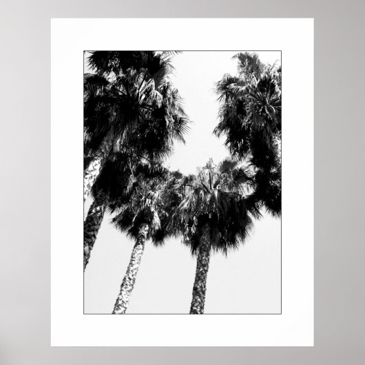 Palm Tree Poster (Vorne)