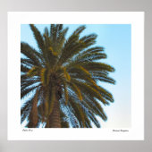 Palm Tree Poster Print (Vorne)