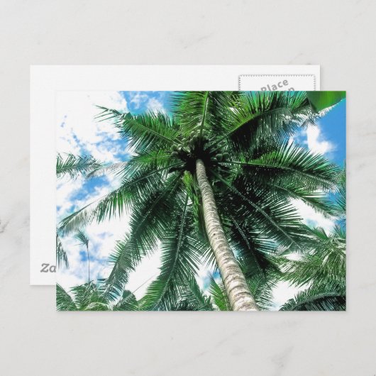 Palm Tree Postkarte (Vorne/Hinten)