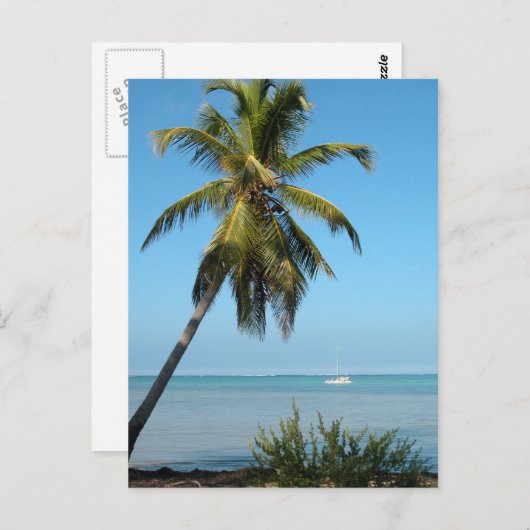 Palm Tree - Postkarte (Vorne/Hinten)