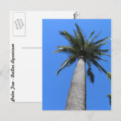 Palm Tree Postkarte (Vorne/Hinten)