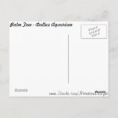 Palm Tree Postkarte (Rückseite)