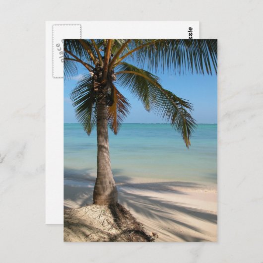 Palm Tree - Postkarte (Vorne/Hinten)