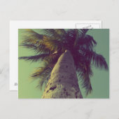 Palm Tree Postkarte (Vorne/Hinten)