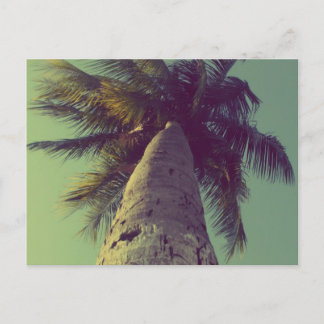 Palm Tree Postkarte