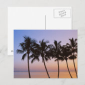 Palm tree postkarte (Vorne/Hinten)