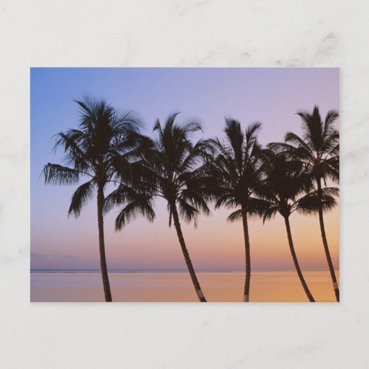 Palm tree postkarte (Vorderseite)