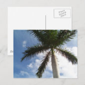 Palm Tree Postkarte (Vorne/Hinten)