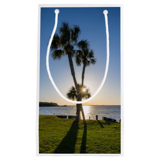 Palm Tree Scissors Silhouette Gift Bag Kleine Geschenktüte (Vorderseite)