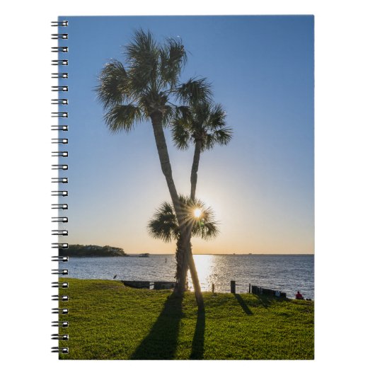 Palm Tree Scissors Silhouette Notebook Notizblock (Vorderseite)