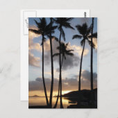 Palm Tree Silhouetten in Hawaii Postkarte (Vorne/Hinten)