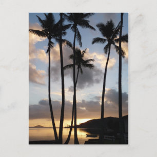 Palm Tree Silhouetten in Hawaii Postkarte