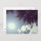 Palm Tree & Sun Postkarte (Vorne/Hinten)