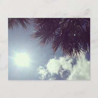 Palm Tree & Sun Postkarte