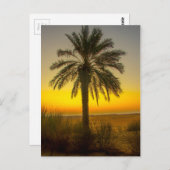Palm Tree Sunrise Postkarte (Vorne/Hinten)