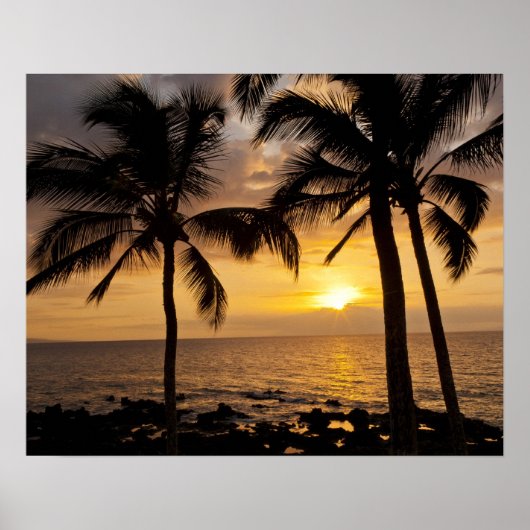 Palm tree sunset poster (Vorne)