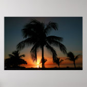 Palm Tree Sunset Poster (Vorne)
