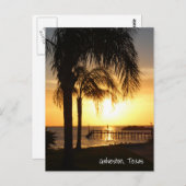 Palm Tree Sunset Postkarte (Vorne/Hinten)